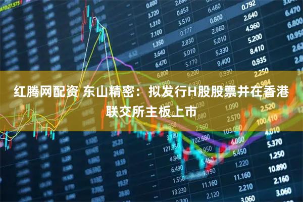 红腾网配资 东山精密：拟发行H股股票并在香港联交所主板上市