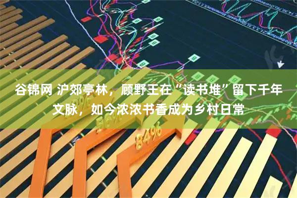 谷锦网 沪郊亭林，顾野王在“读书堆”留下千年文脉，如今浓浓书香成为乡村日常