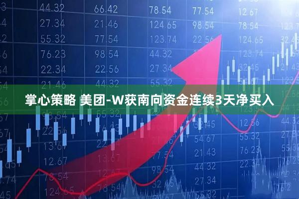 掌心策略 美团-W获南向资金连续3天净买入