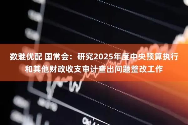 数魅优配 国常会：研究2025年度中央预算执行和其他财政收支审计查出问题整改工作